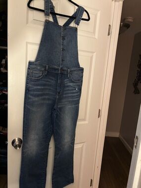 American Eagle Outfitters Men's Blue Denim Bib Overalls